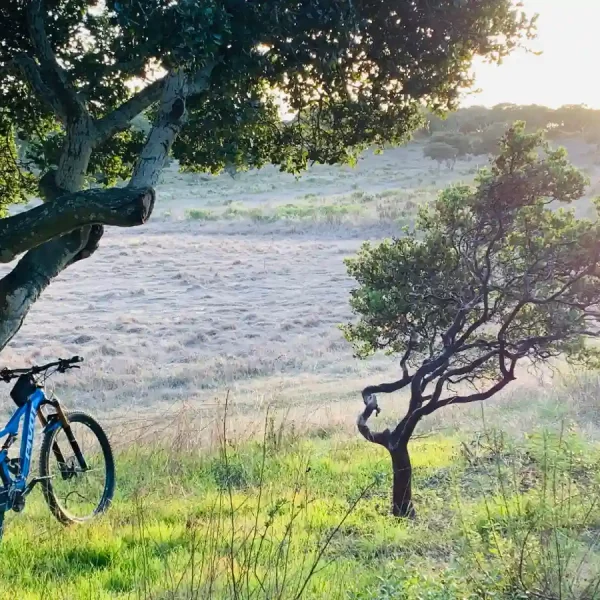 Somatic Therapy in Monterey - Bonnie Fernandez Psychotherapy - Image of Bicycle on Fort Ord, Monterey, California